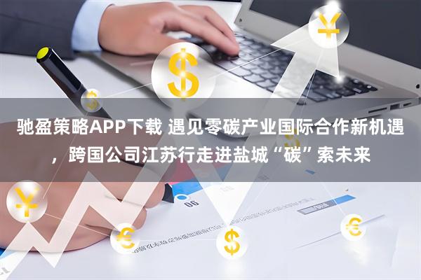 驰盈策略APP下载 遇见零碳产业国际合作新机遇，跨国公司江苏行走进盐城“碳”索未来